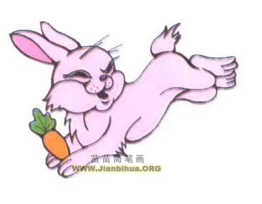 跳跃的兔子简笔画图片