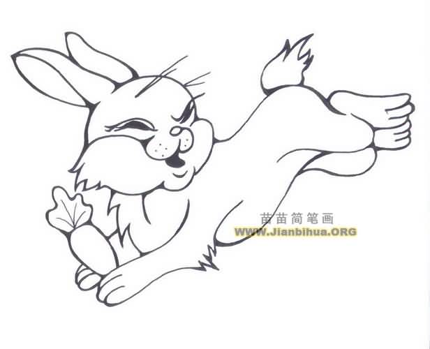 跳跃的兔子简笔画图片